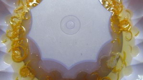 десерт апельсины в желе