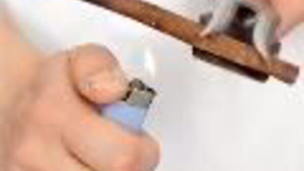 английский крем с корицей