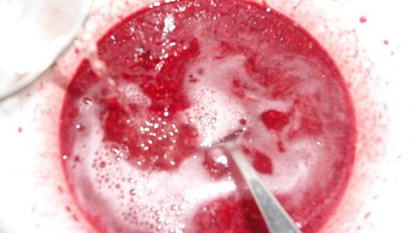 малиновый сорбет с шампанским