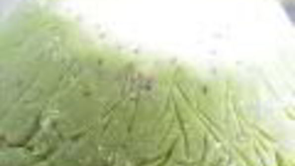 мороженое арбуз