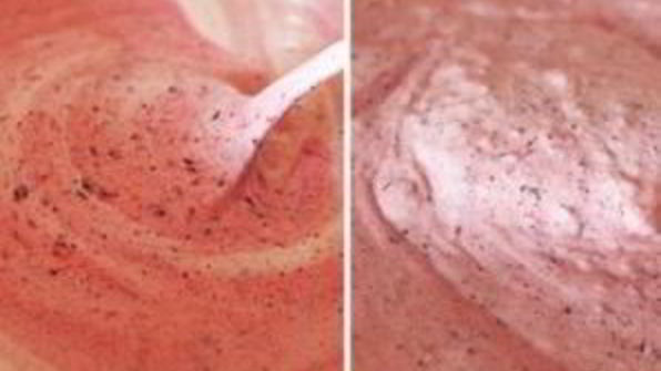 мороженое из голубики и красной смородины