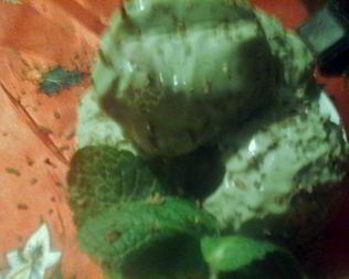 Мятно-шоколадное мороженое