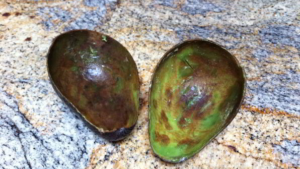 шоколадное мороженое c авокадо