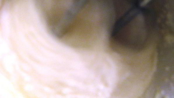 немецкий десерт mohn-quarkkuchen