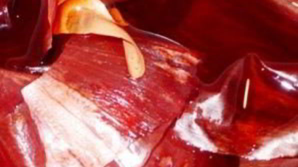 пасхальные крашеные яйца