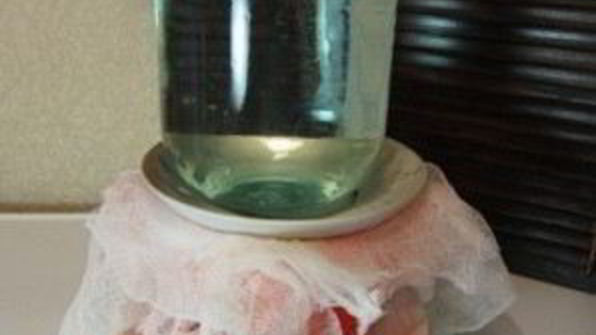 творожная пасха фисташковая