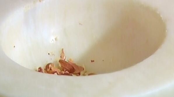 шоколадный десерт с черносливом