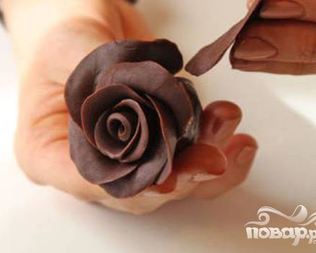 Шоколадные розы