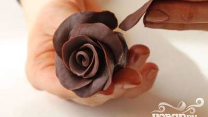 Шоколадные розы