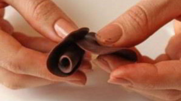 шоколадные розы