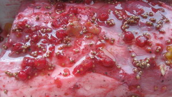 запеченная свинина с суфле из зеленого горошка бабочки прилетели