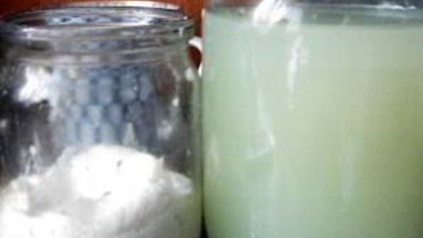 творог из овечьего молока