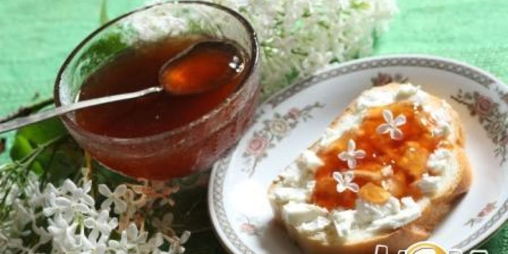 Рецепт желе из цветов сирени