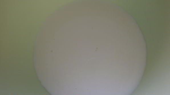 блинная лапша с грибами