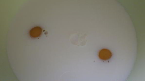 блинная лапша с грибами