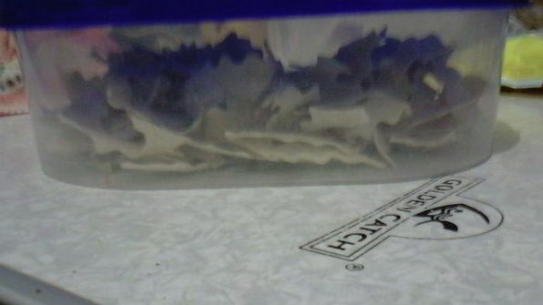 домашняя лапша