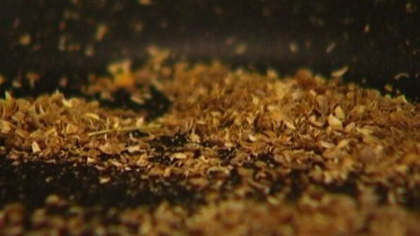 чечевица со шпинатом, тмином и кориандром