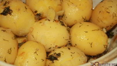 Молодой картофель с салом, укропом и специями