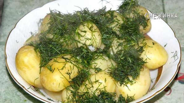 молодой картофель с укропом и сметанной заправкой