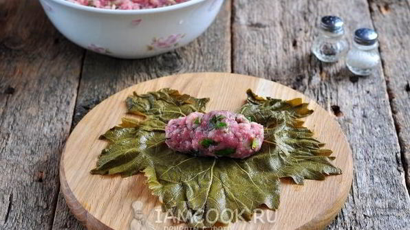 долма из маринованных виноградных листьев