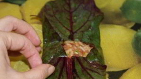 долма из свекольных листьев