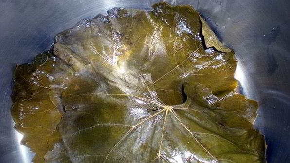 долма с бараниной под сметанно-чесночным соусом