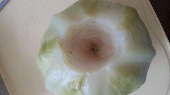 обычные голубцы