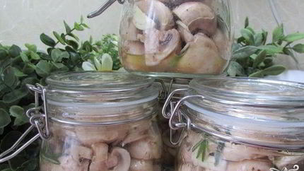 Грибы с розмарином