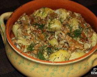 Лисички жареные со сметаной