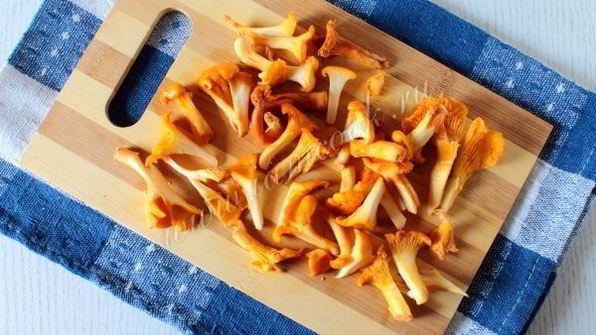 лисички жареные в сметане