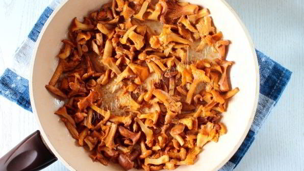 лисички жареные в сметане