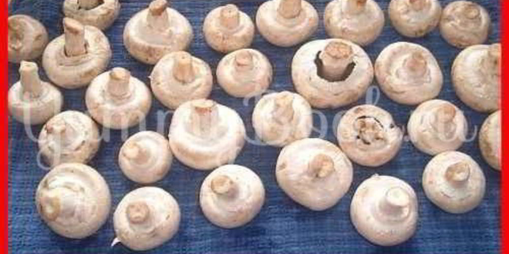 Рецепт шампиньоны фаршированные с беконом