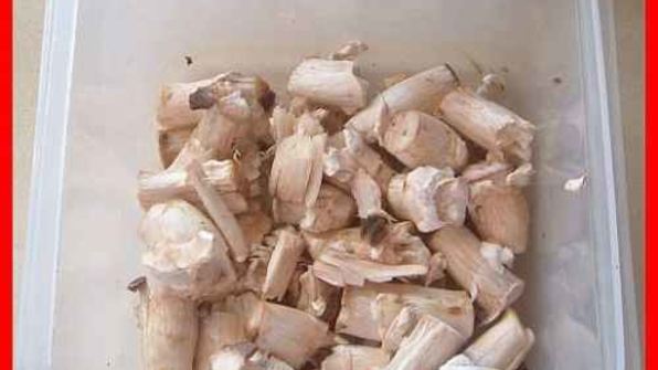 шампиньоны фаршированные с беконом