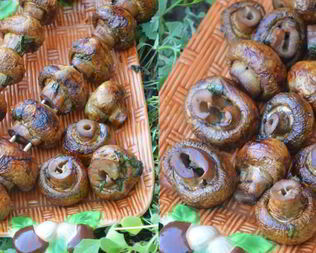 Шампиньоны на мангале