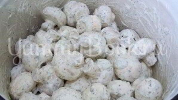 шампиньоны, запеченные на костре