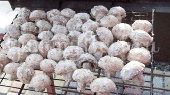 шампиньоны, запеченные на костре