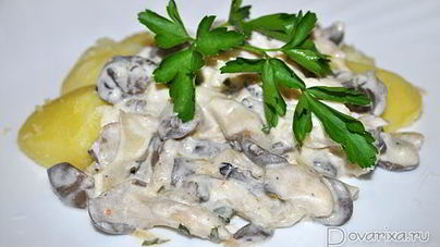 Вешенки, тушенные в сметане