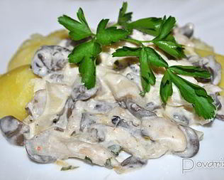 Вешенки, тушенные в сметане