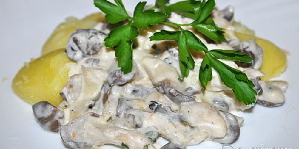 Рецепт вешенки, тушенные в сметане