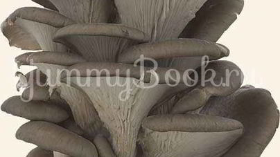 Вешенки в маринаде