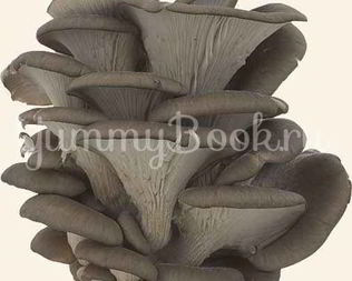 Вешенки в маринаде