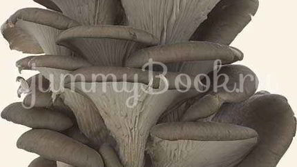 Вешенки в маринаде