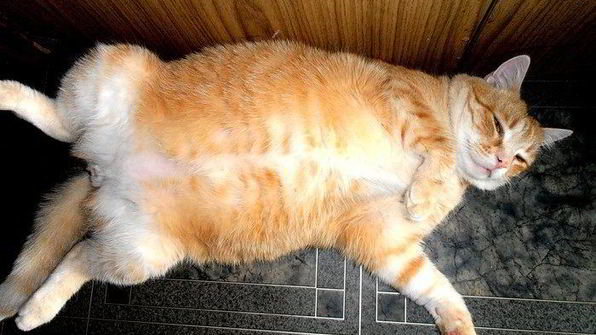 картофельный гарнир на новый лад