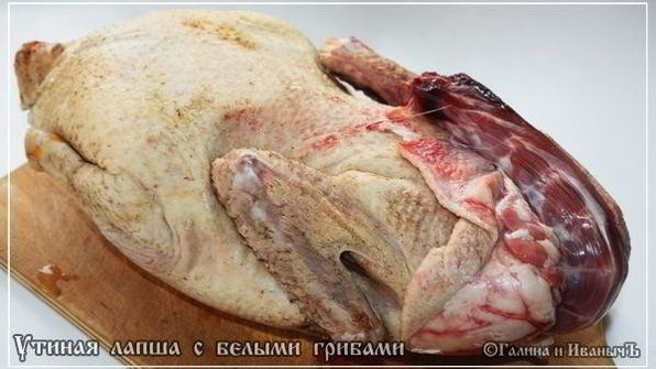 лапша домашняя с домашней уткой и белыми грибами