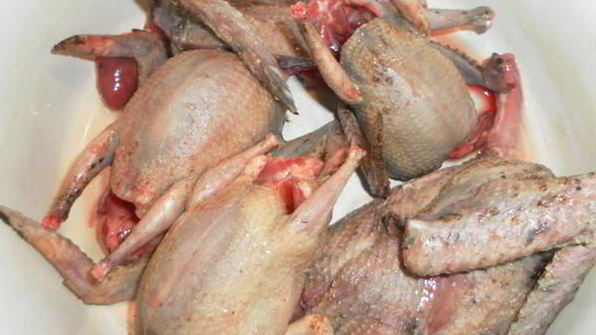 лапша из диких голубей