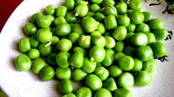 каннелони из порея под сыром