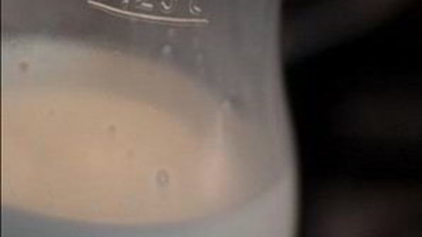 каннелони по-каталонски