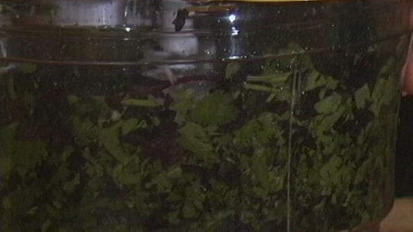 макароны в соусе песто