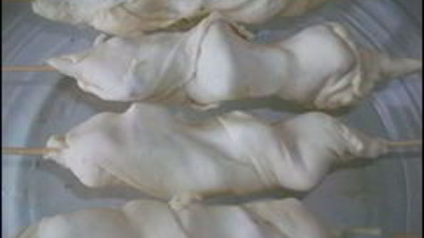 индейка с сыром в тесте на шпажках