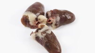 Сколько варить куриные сердечки до готовности